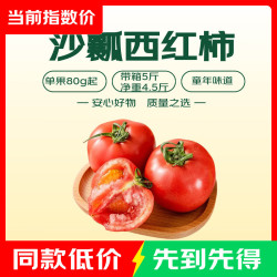 沙瓤西红柿 囤货装 5斤 带箱