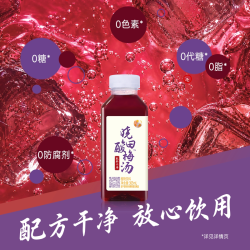 晓田 酸梅汤 365ml*16瓶