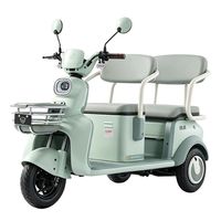 百亿补贴：绿源 休闲双排电动三轮车 60V20A