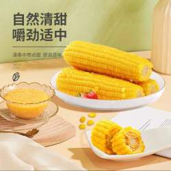 开源保丰 粗粮东北正宗黑土地玉米8根（单根220g）