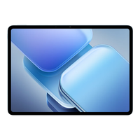 vivo iQOO Pad2 12GB+256GB 蓝霆 平板电脑