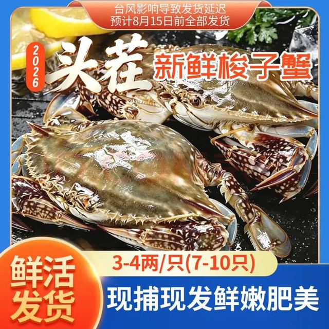 拾鲜生 舟山海捕鲜活梭子蟹 26年新蟹 冰鲜鲜活3-4两/只 3斤 源头直发