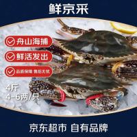 鲜京采 自营鲜活梭子蟹 4斤4-6两/只 海捕鲜活发次日达冰鲜螃蟹源头直发