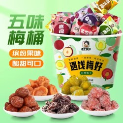 贵妃驾到 遇饯梅好混合梅桶450g独立包装话梅青梅玫瑰梅苏式梅子蜜饯小零食
