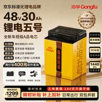 功孚 锂电电动车锂电池48V30Ah大容量电瓶车电摩电池雅迪爱玛台铃