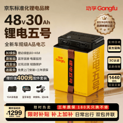 功孚 锂电电动车锂电池48V30Ah大容量电瓶车电摩电池雅迪爱玛台铃