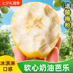白心芭乐正宗当季现摘云南新鲜水果口感绵密果肉柔滑软糯整箱包邮