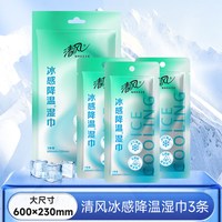 88VIP：清风 冰感降温湿巾0敏感大尺寸温和不刺激多场景适用方便携带