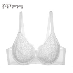 Eve's Temptation 性感蕾丝文胸 7543113