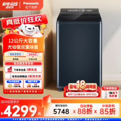 Panasonic 不弯腰 波轮洗衣机 12kg XQB120-U2F1