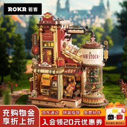 ROKR 八音盒手工音乐盒积木套装