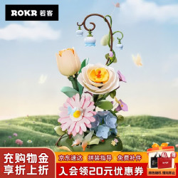 ROKR 花间集绽放漫野 积木花动态永生花diy手工拼装七夕情人节礼物女生