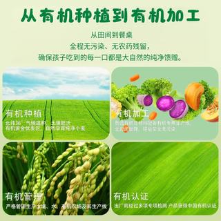 九洲丰园 有机十蔬包 500g10只 水饺