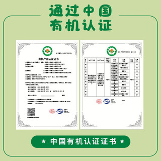 九洲丰园 有机十蔬包 500g10只 水饺