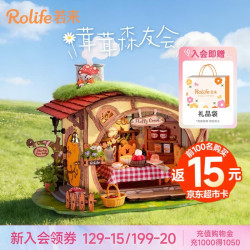 若来 diy手工 儿童积木拼装玩具