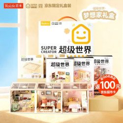 若来 超级世界梦想家礼盒 手工小屋拼插积木