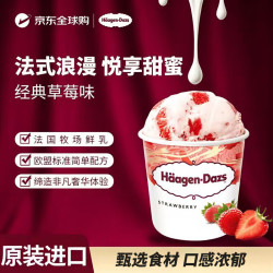 哈根达斯 草莓口味冰淇淋 460ml