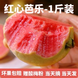 福瑞达 广西软糯红心芭乐5斤新鲜水果包邮应季番石榴脆甜胭脂红整箱现发