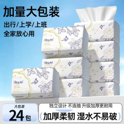 新逸风 抽纸整箱纸巾家用21包大包卫生纸抽式大尺寸干湿两用便携擦手纸 24包6层 312张*24包