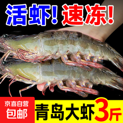 京喜 青岛大虾 白虾 海捕大虾 单冻 3斤/盒 60-75只