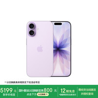 Apple iPhone 17 5G手机 8GB+256GB 薰衣草紫色