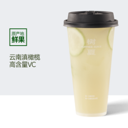 树夏 生榨滇橄榄油柑