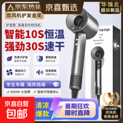 森系电吹风机家用静音45亿负离子大功率不伤发护发速干高速风筒礼物