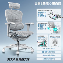 Ergonor 金豪B 2代 人体工学电脑椅 银白色 美国网款