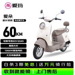 爱玛 80km长续航 电动自行车  铅酸电池 百利米