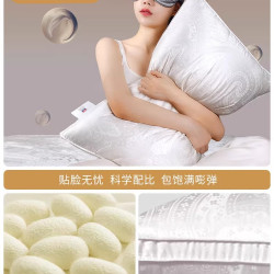富安娜 蚕丝枕头单人护颈椎助睡眠成人家用酒店枕芯学生宿舍丝棉枕