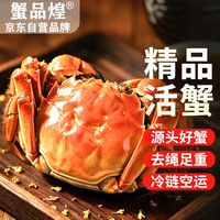 蟹品煌 大闸蟹 去绳足重 1.8-2.1两10只 鲜活的六月黄现货海鲜特大螃蟹源头直发