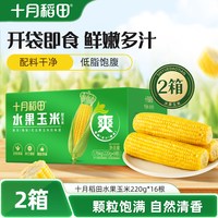 十月稻田 水果玉米新鲜玉米棒清甜真空即食粗粮早餐真空官方