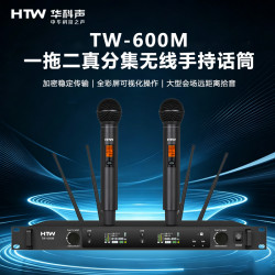 HTW华科声 会议音频系统TW-600M 一拖二真分集无线手持话筒