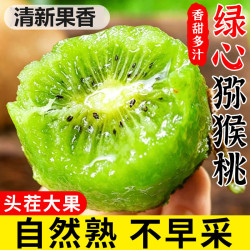 偏南鲜果 猕猴桃新鲜绿心大果当季香甜多汁奇异果产地直发整箱自然熟