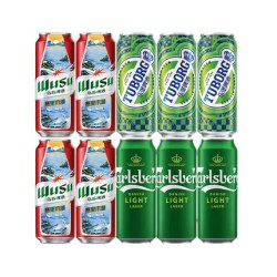 嘉士伯 啤酒500ML*15罐试饮尝鲜9种口味非原箱