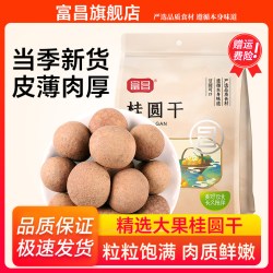富昌 桂圆干500g福建特产大果龙眼干泡水肉厚桂圆干官方旗舰店
