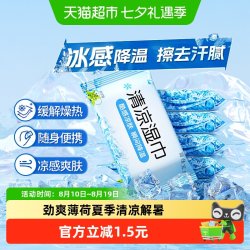 丽佳宝贝 薄荷凉感湿巾夏季学生军训降温止汗解暑清凉婴儿湿纸巾