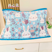 网红棉纱枕巾 尺寸50*80cm  一对 专享