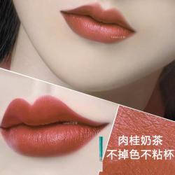 溥畔 中年妈妈口红显白肉桂奶茶色口红不沾杯不掉色细管两用哑光正品女