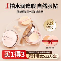 韩熙贞 柔光持妆气垫粉霜遮瑕保湿持久控油不脱妆无瑕底妆LYTZ