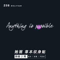 她画Z08英文字母草本贴贴防水持久女纹身贴纸不反光草本纹身贴