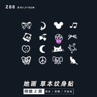她画Z88小型可爱小清新草本纹身贴持久女果汁贴纸持久逼真防水