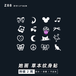她画Z88小型可爱小清新草本纹身贴持久女果汁贴纸持久逼真防水