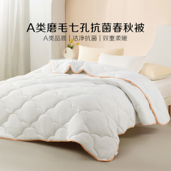 百丽丝 家纺A类雪莉亚七孔抗菌子母春秋被冬被保暖被子
