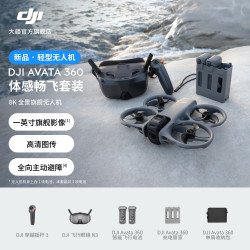 大疆 Avata 360 高清图传全向避障航拍 8K全景旗舰无人机 体感畅飞套装（灰色）