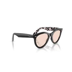 Ray-Ban RayBan 雷朋（RayBan）椭圆形太阳镜男女通用墨镜0RB2241F