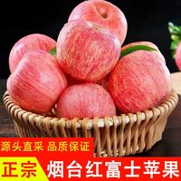 东鲜丰 苹果山东烟台栖霞红富士 中果 净重4.5斤