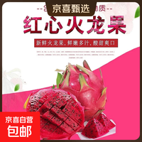 甄选广西红心火龙果金都一号蜜宝生鲜孕妇水果香甜多汁整箱包邮 带箱5斤净重4.5斤  单果200g+