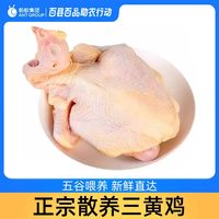 云依禾农庄 芮瑞 新鲜三黄鸡2只共1.4kg