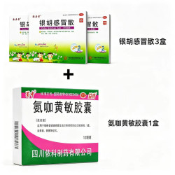 蜀中 氨咖黄敏胶囊*1+银狐感冒散*3/肠胃散*3